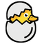 Hatch Studio logo